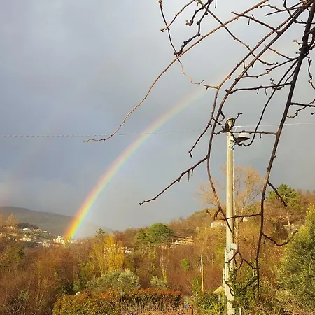 La Mansardina *